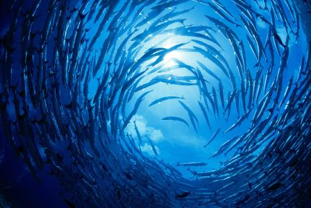 1619685671188284.jpg aec379310a55b319d13f01cb48a98226cefc174d.jpg