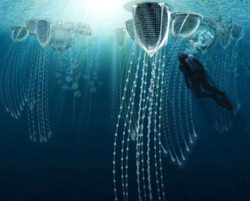 广州海洋生态调查海洋水结果 广州海洋生态调查海洋水结果